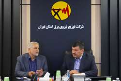 نماینده مردم پاکدشت با مدیرعامل شرکت توزیع نیروی برق استان تهران دیدار کرد